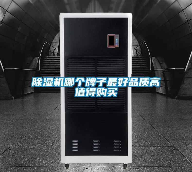 除濕機(jī)哪個(gè)牌子最好品質(zhì)高值得購(gòu)買