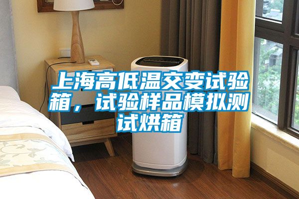上海高低溫交變試驗箱，試驗樣品模擬測試烘箱