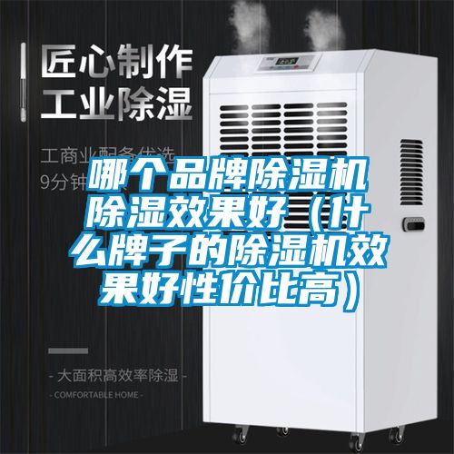 哪個(gè)品牌除濕機(jī)除濕效果好（什么牌子的除濕機(jī)效果好性?xún)r(jià)比高）