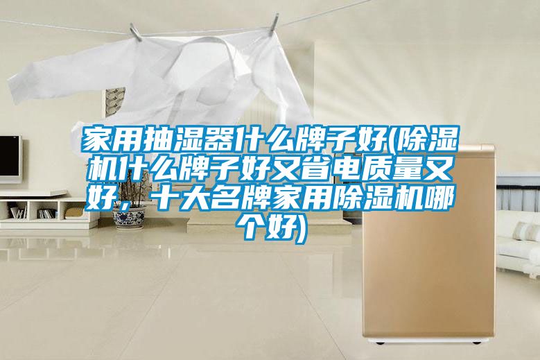家用抽濕器什么牌子好(除濕機(jī)什么牌子好又省電質(zhì)量又好，十大名牌家用除濕機(jī)哪個(gè)好)