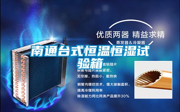 南通臺式恒溫恒濕試驗(yàn)箱