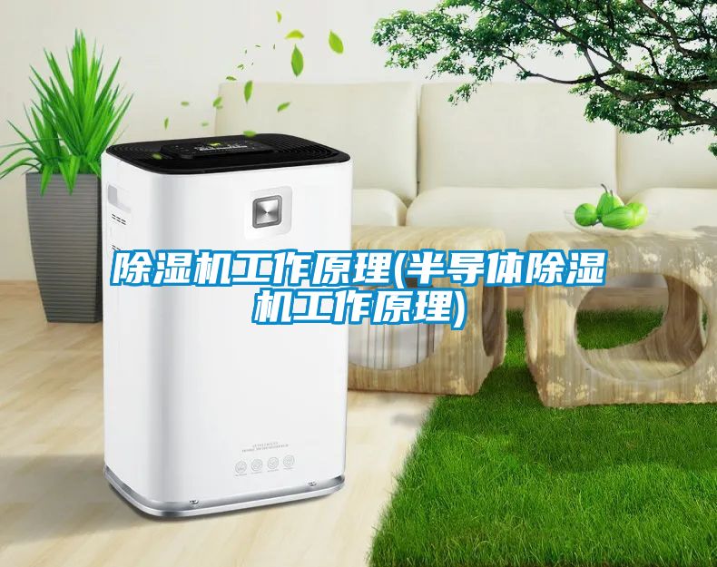 除濕機工作原理(半導(dǎo)體除濕機工作原理)