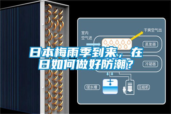 日本梅雨季到來，在日如何做好防潮？