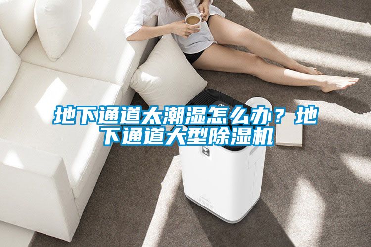 地下通道太潮濕怎么辦？地下通道大型除濕機(jī)