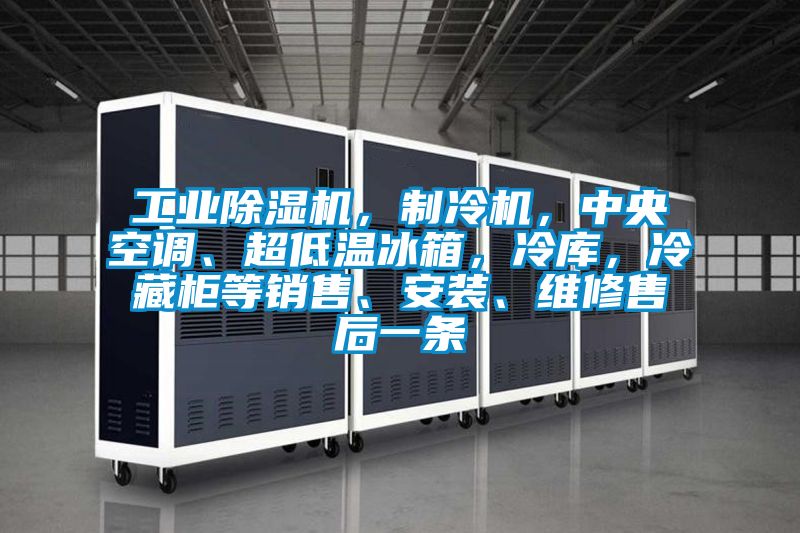 工業除濕機，制冷機，中央空調、超低溫冰箱，冷庫，冷藏柜等銷售、安裝、維修售后一條