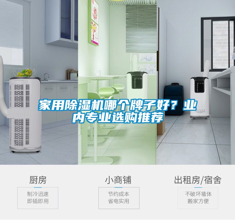 家用除濕機哪個牌子好？業內專業選購推薦