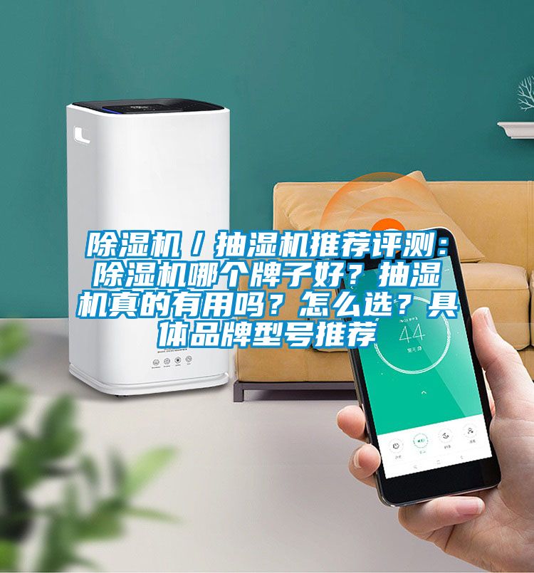 除濕機(jī)／抽濕機(jī)推薦評(píng)測(cè)：除濕機(jī)哪個(gè)牌子好？抽濕機(jī)真的有用嗎？怎么選？具體品牌型號(hào)推薦