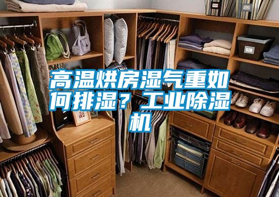 高溫烘房濕氣重如何排濕？工業除濕機