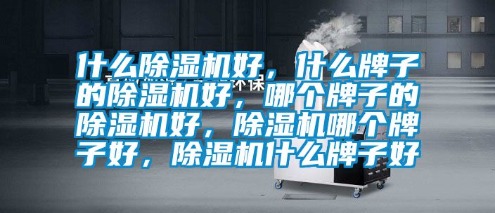 什么除濕機好，什么牌子的除濕機好，哪個牌子的除濕機好，除濕機哪個牌子好，除濕機什么牌子好